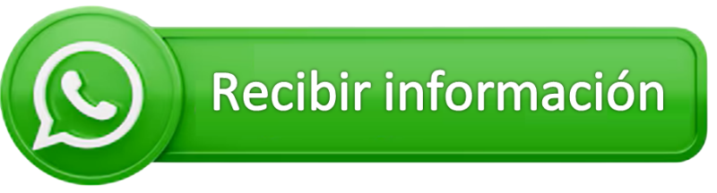 recibir informacion whatsapp