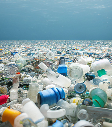 cuidado del medio ambiente